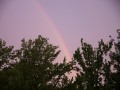 0219-1940 Rainbow (1010956)